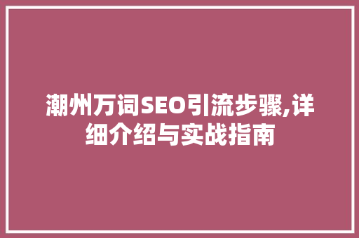 潮州万词SEO引流步骤,详细介绍与实战指南