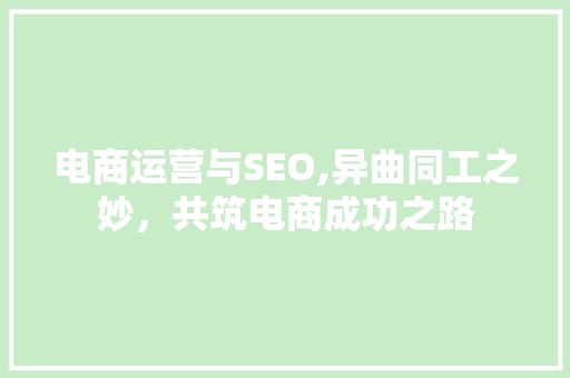 电商运营与SEO,异曲同工之妙，共筑电商成功之路