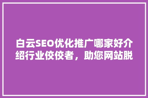 白云SEO优化推广哪家好介绍行业佼佼者，助您网站脱颖而出！