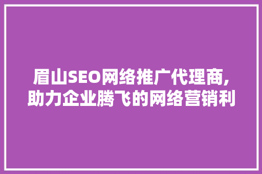 眉山SEO网络推广代理商,助力企业腾飞的网络营销利器