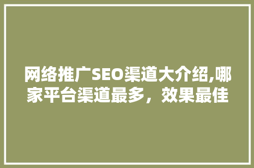 网络推广SEO渠道大介绍,哪家平台渠道最多，效果最佳