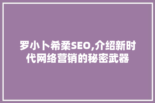 罗小卜希柔SEO,介绍新时代网络营销的秘密武器