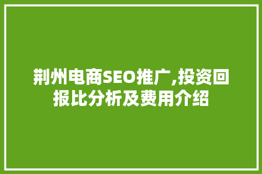 荆州电商SEO推广,投资回报比分析及费用介绍