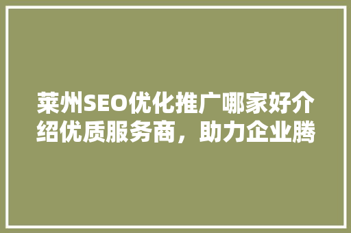 莱州SEO优化推广哪家好介绍优质服务商，助力企业腾飞