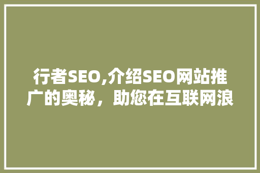 行者SEO,介绍SEO网站推广的奥秘，助您在互联网浪潮中乘风破浪