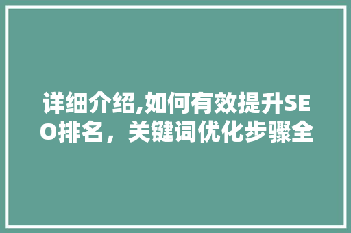 详细介绍,如何有效提升SEO排名，关键词优化步骤全攻略