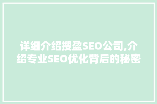 详细介绍搜盈SEO公司,介绍专业SEO优化背后的秘密