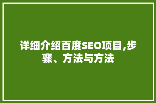 详细介绍百度SEO项目,步骤、方法与方法