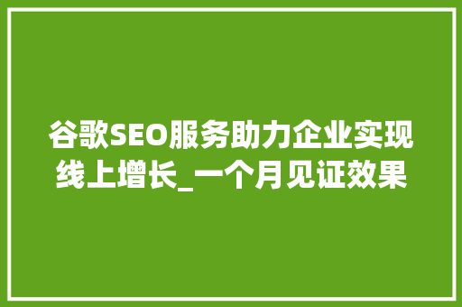 谷歌SEO服务助力企业实现线上增长_一个月见证效果
