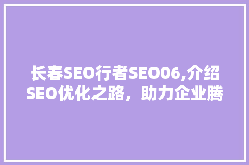 长春SEO行者SEO06,介绍SEO优化之路，助力企业腾飞