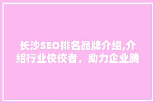 长沙SEO排名品牌介绍,介绍行业佼佼者，助力企业腾飞  第1张