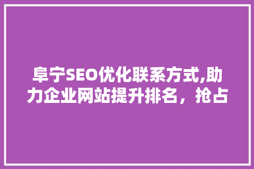 阜宁SEO优化联系方式,助力企业网站提升排名，抢占互联网市场先机