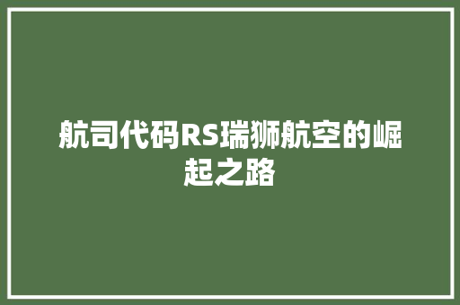 航司代码RS瑞狮航空的崛起之路