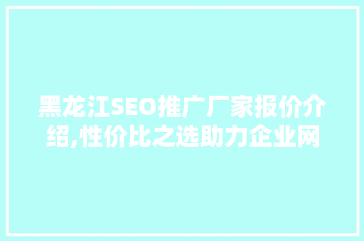 黑龙江SEO推广厂家报价介绍,性价比之选助力企业网络营销