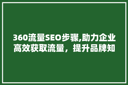 360流量SEO步骤,助力企业高效获取流量，提升品牌知名度