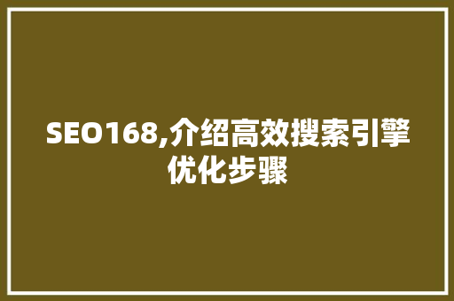 SEO168,介绍高效搜索引擎优化步骤