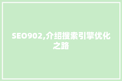 SEO902,介绍搜索引擎优化之路