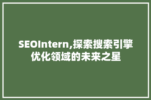 SEOIntern,探索搜索引擎优化领域的未来之星
