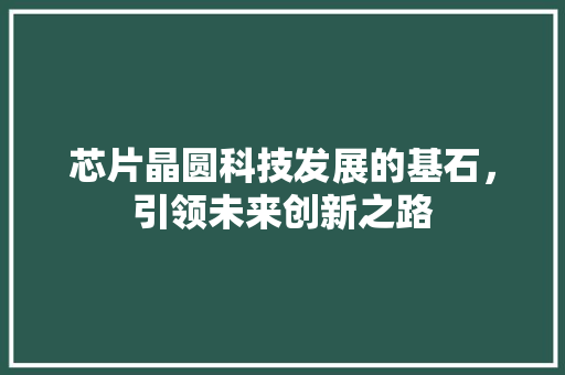 芯片晶圆科技发展的基石，引领未来创新之路