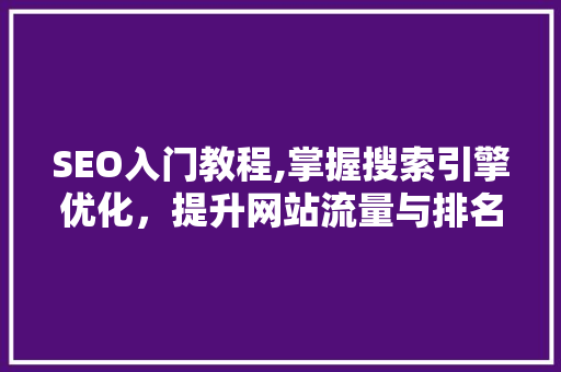 SEO入门教程,掌握搜索引擎优化，提升网站流量与排名