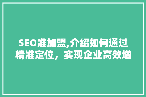 SEO准加盟,介绍如何通过精准定位，实现企业高效增长