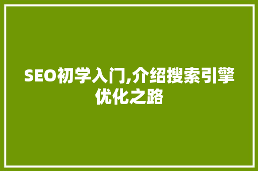 SEO初学入门,介绍搜索引擎优化之路