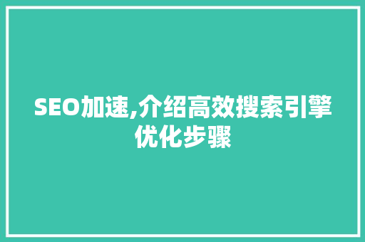 SEO加速,介绍高效搜索引擎优化步骤