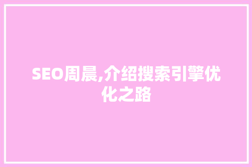 SEO周晨,介绍搜索引擎优化之路