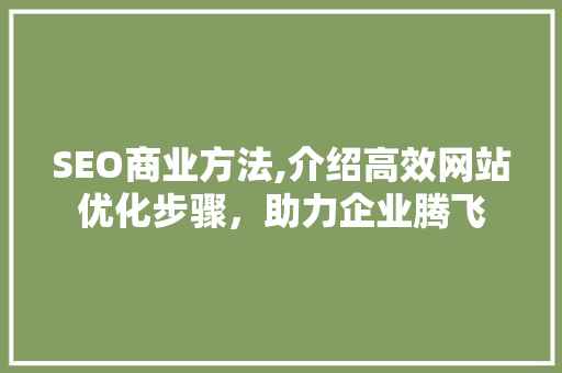 SEO商业方法,介绍高效网站优化步骤，助力企业腾飞