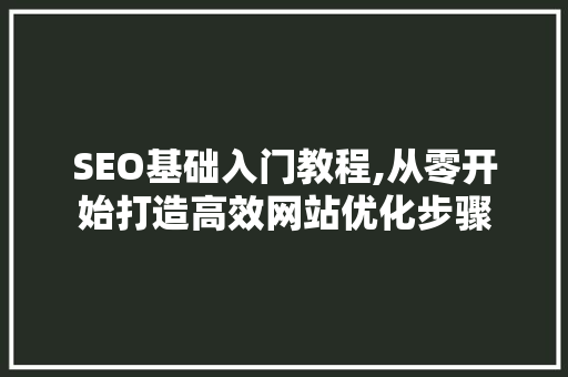 SEO基础入门教程,从零开始打造高效网站优化步骤