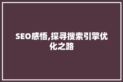SEO感悟,探寻搜索引擎优化之路