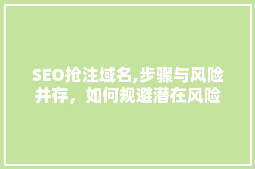 SEO抢注域名,步骤与风险并存，如何规避潜在风险