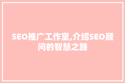 SEO推广工作室,介绍SEO顾问的智慧之路