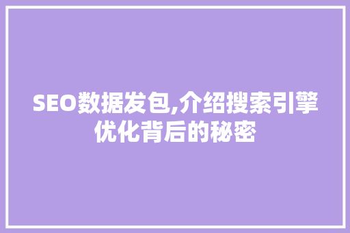 SEO数据发包,介绍搜索引擎优化背后的秘密