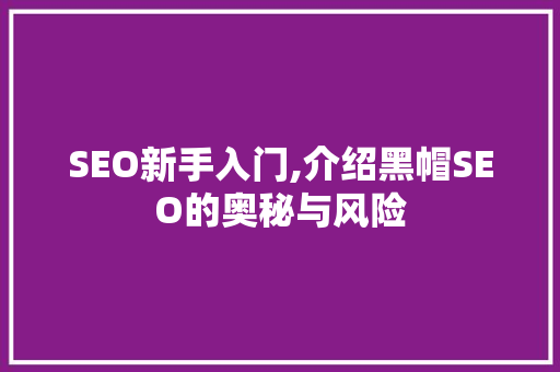 SEO新手入门,介绍黑帽SEO的奥秘与风险