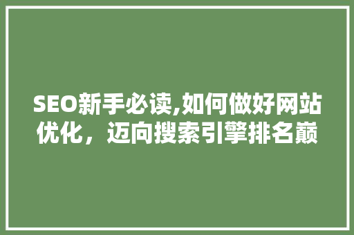 SEO新手必读,如何做好网站优化，迈向搜索引擎排名巅峰