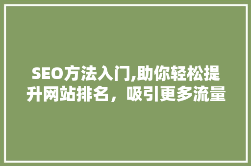 SEO方法入门,助你轻松提升网站排名，吸引更多流量