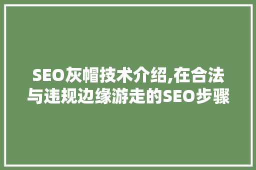 SEO灰帽技术介绍,在合法与违规边缘游走的SEO步骤