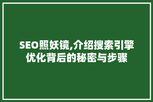 SEO照妖镜,介绍搜索引擎优化背后的秘密与步骤