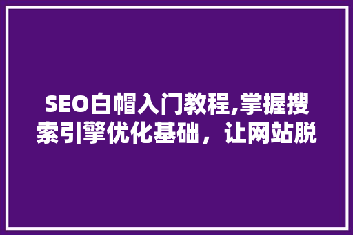 SEO白帽入门教程,掌握搜索引擎优化基础，让网站脱颖而出