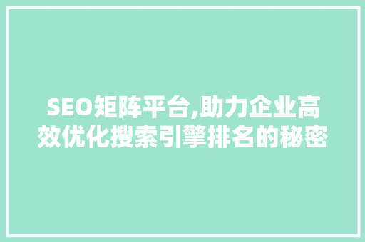 SEO矩阵平台,助力企业高效优化搜索引擎排名的秘密武器