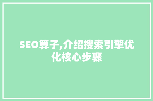 SEO算子,介绍搜索引擎优化核心步骤
