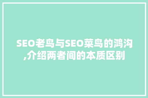 SEO老鸟与SEO菜鸟的鸿沟,介绍两者间的本质区别