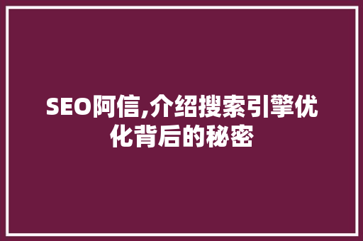 SEO阿信,介绍搜索引擎优化背后的秘密