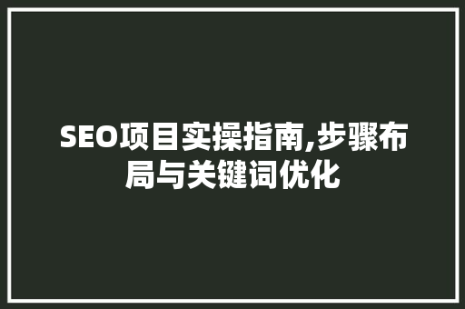 SEO项目实操指南,步骤布局与关键词优化