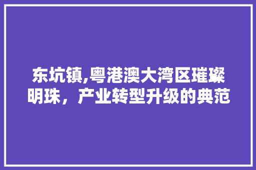 东坑镇,粤港澳大湾区璀璨明珠，产业转型升级的典范