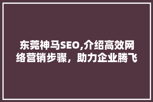 东莞神马SEO,介绍高效网络营销步骤，助力企业腾飞