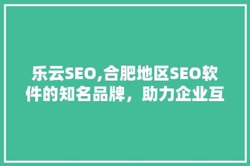 乐云SEO,合肥地区SEO软件的知名品牌，助力企业互联网营销新高度