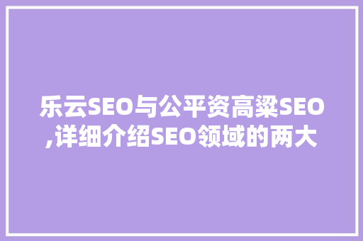乐云SEO与公平资高粱SEO,详细介绍SEO领域的两大流派