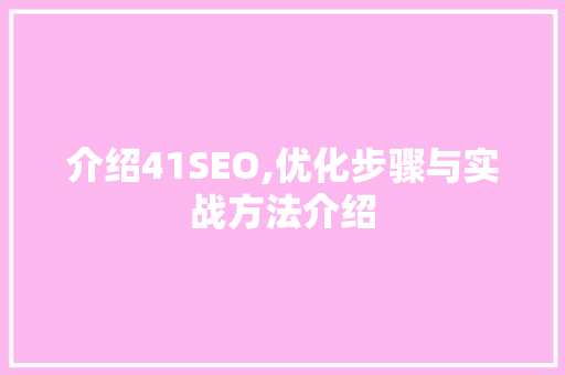 介绍41SEO,优化步骤与实战方法介绍